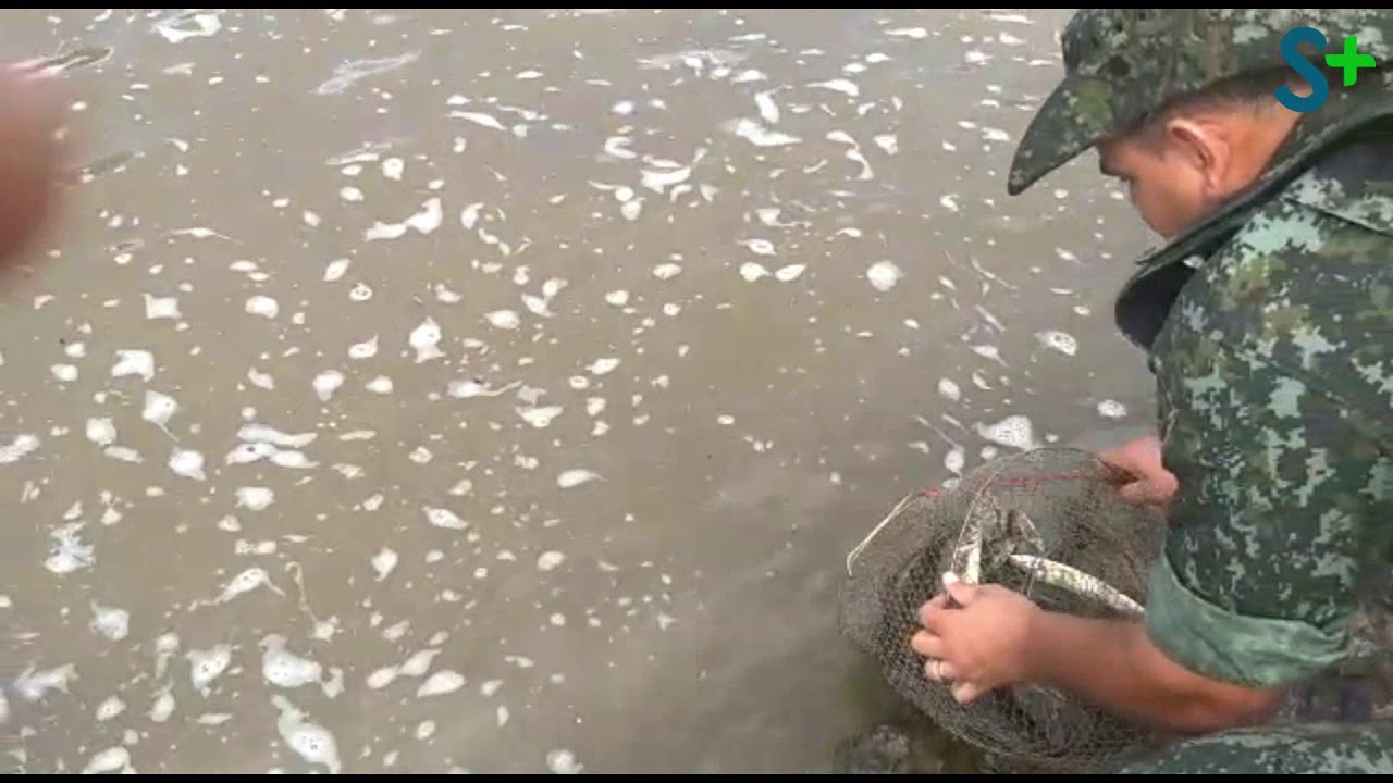 Flagrante de pesca proibida na cachoeira do Salto Botelho