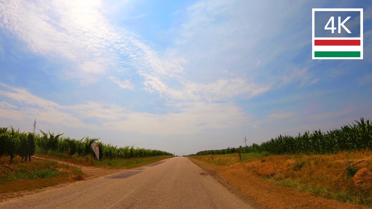 Driving in Hungary 🇭🇺 The Vineyards of Northern Hungary - Relaxing ASMR Drive