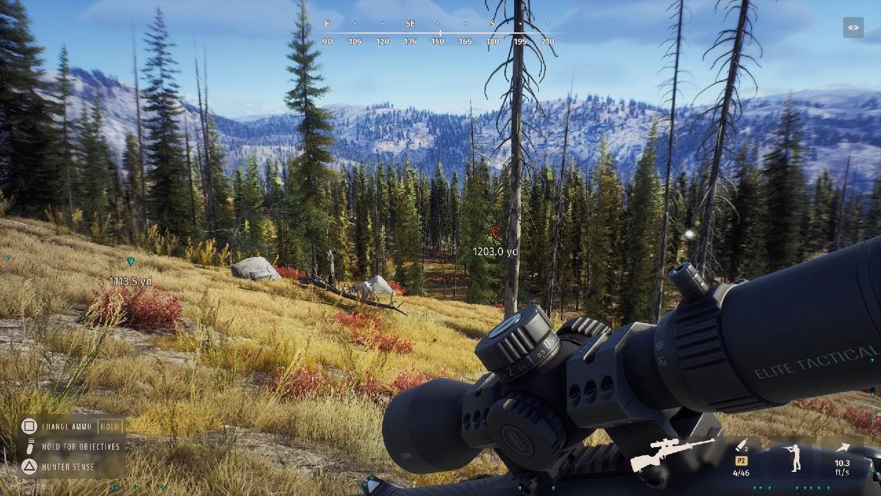 Way of the Hunter THREE 5 STAR WHITETAIL DEER 875 - 877 on Nez!