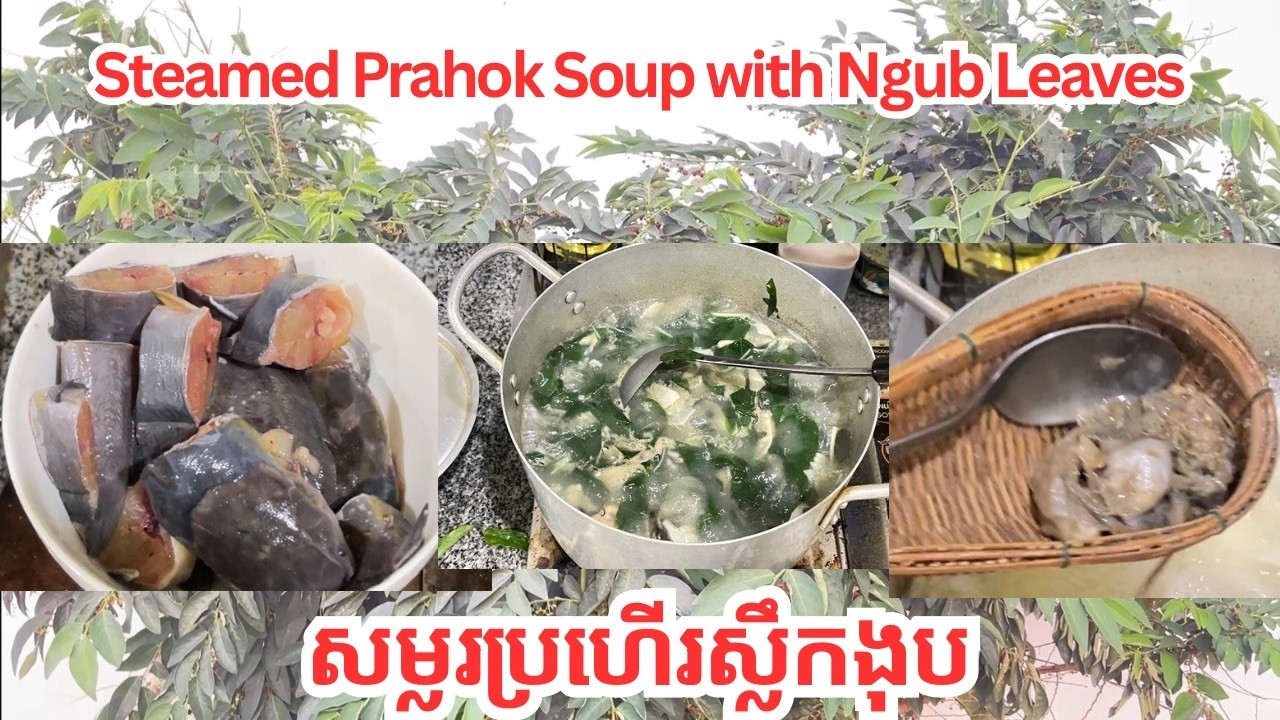 Traditional Cambodian Steamed Prahok Soup with Ngub Leaves | Easy Khmer Recipe