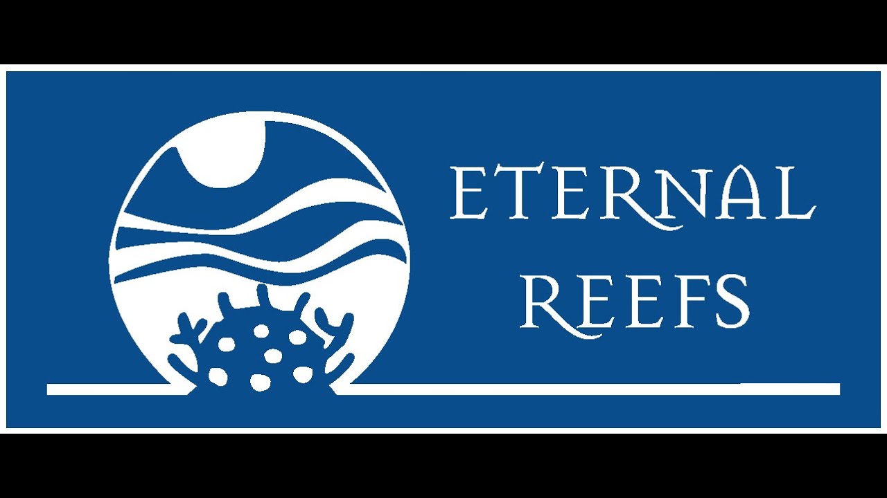 y  Eternal Reefs Complete 5 Part Video Brochure