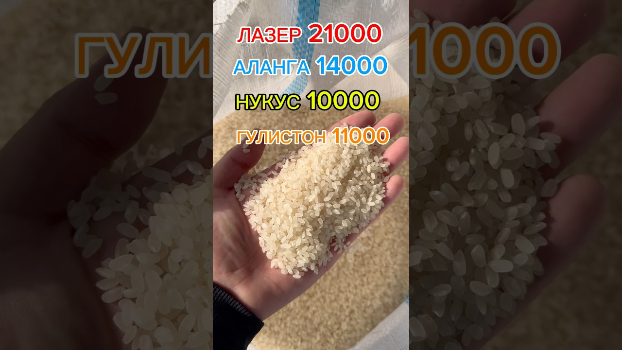 ХОРАЗМ ГУРУЧЛАРИ ОПТОМ НАРХЛАРДА ТАШКЕНТ ШАХРИДА ДАСТАВКА ТЕКИН #rek #ташкент #shorts