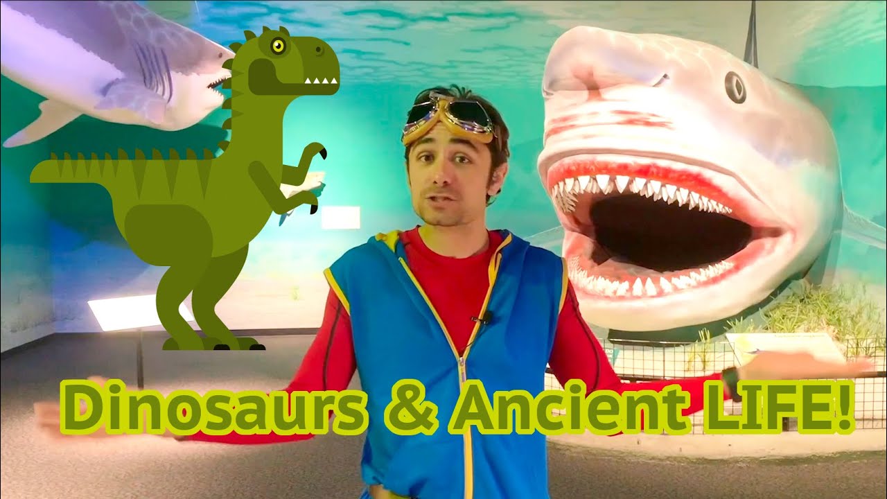 Kit Explores Dinosaurs | Museum of Ancient Life at Thanksgiving Point, Utah.