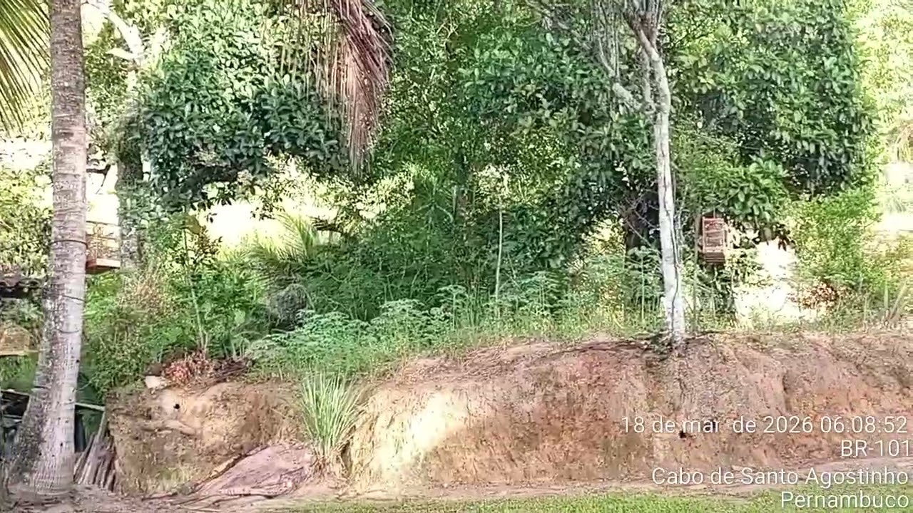 18 de março de 2026