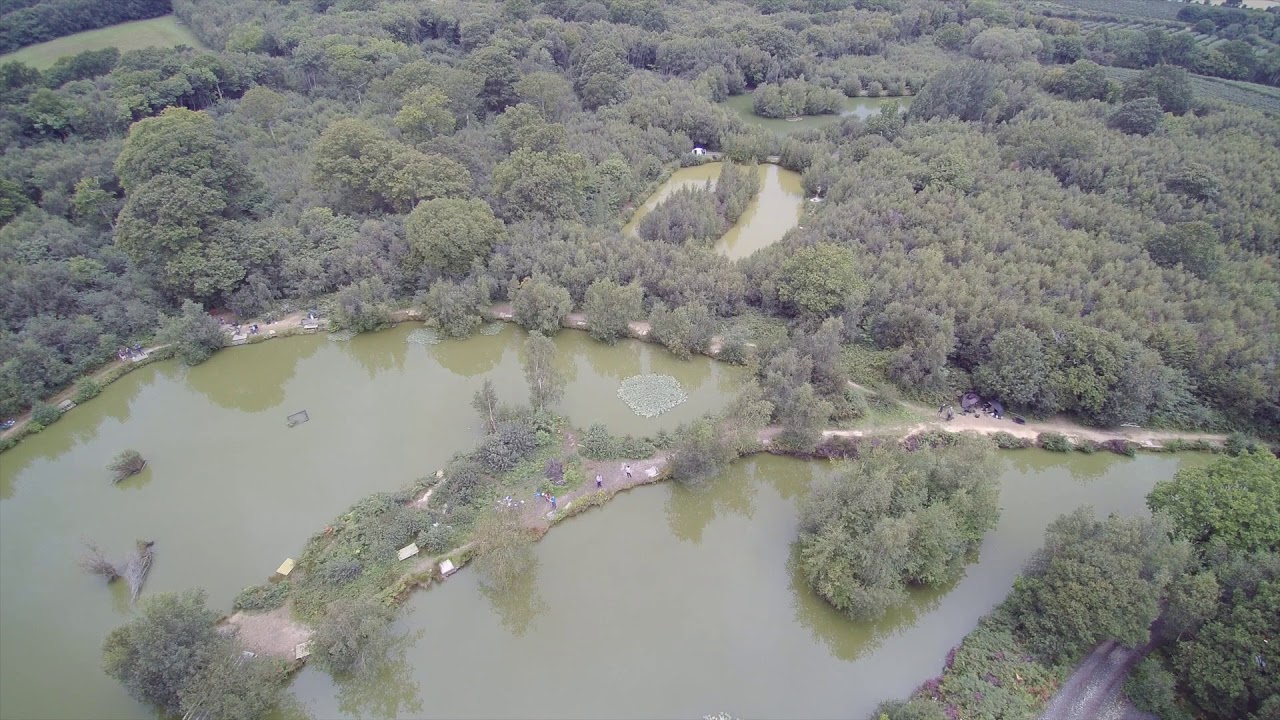 Iden Wood Fishery