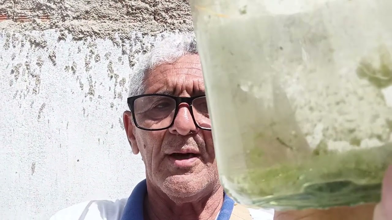 Combate ao mosquito da dengue 