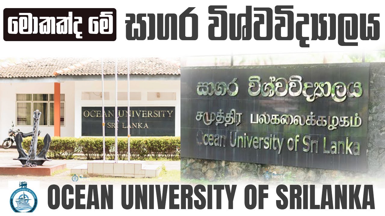 Best Maritime University In Srilanka/Ocean University Of Srilanka #oceanengineerpro