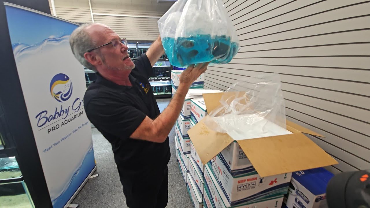 April 18th, 2024 Florida Exotic Fish Imports