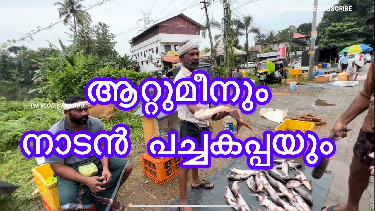 ആറ്റുമീനും നാടൻ കപ്പയും
