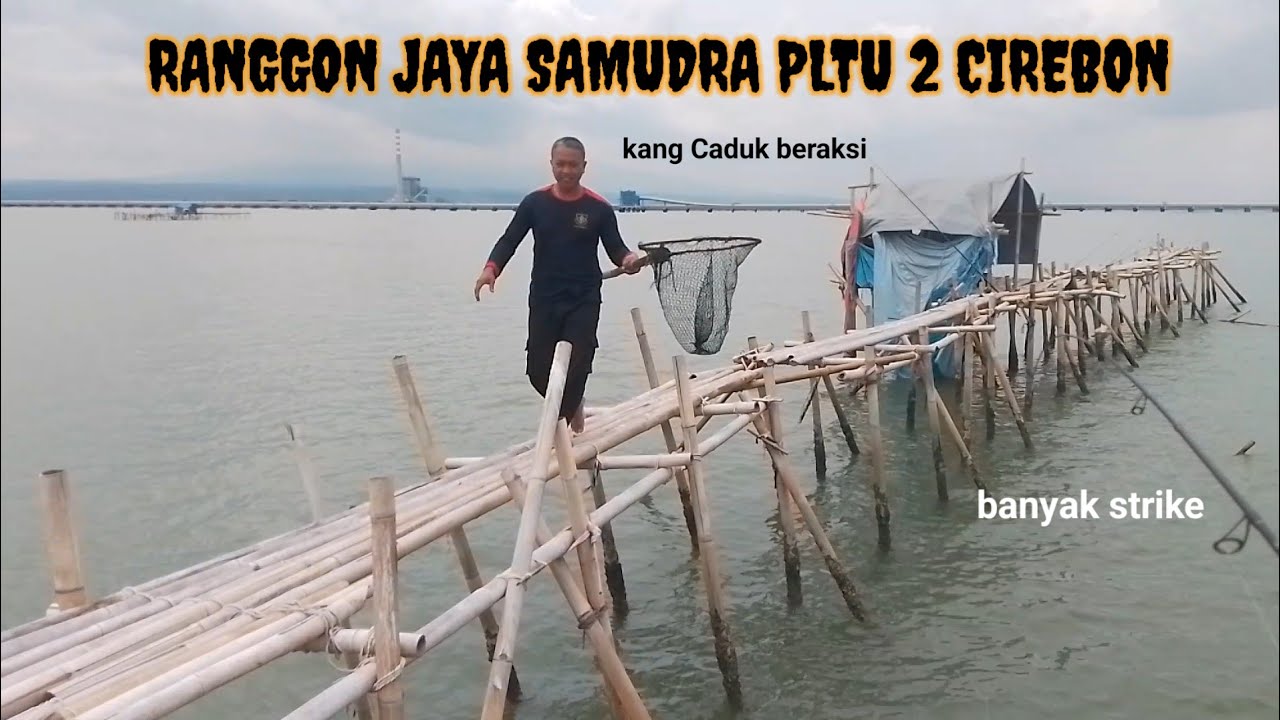 MANCING DI RANGGON JAYA SAMUDRA // BANYAK SAMBAR PAKE UMPAN SATU INI !!!