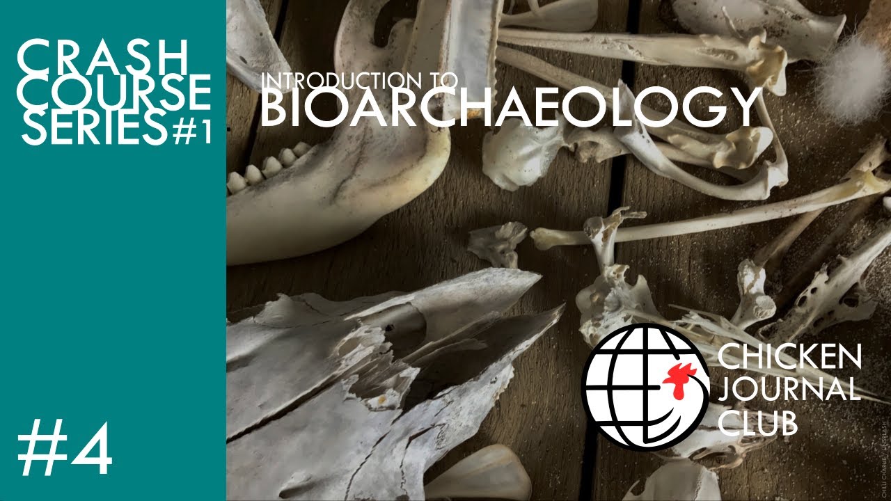 No.4 Introduction to Bioarchaeology!