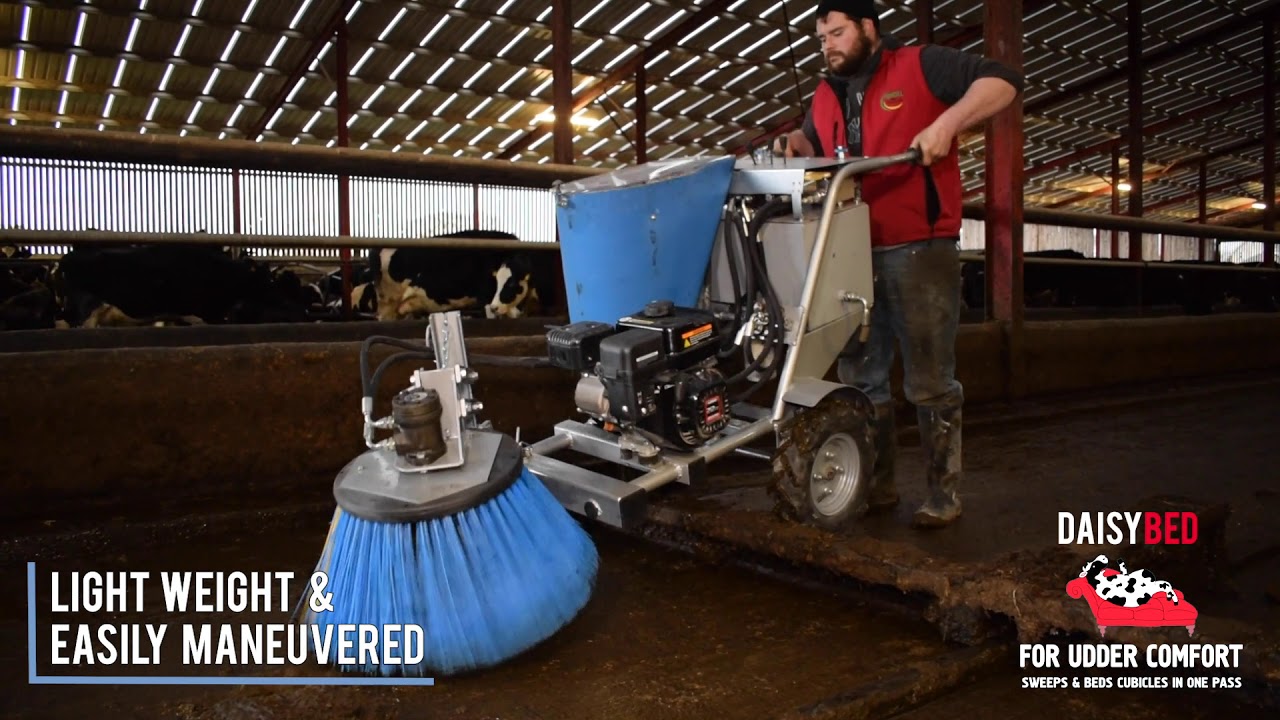 Cubicle cleaning made easy with Daisy Bed