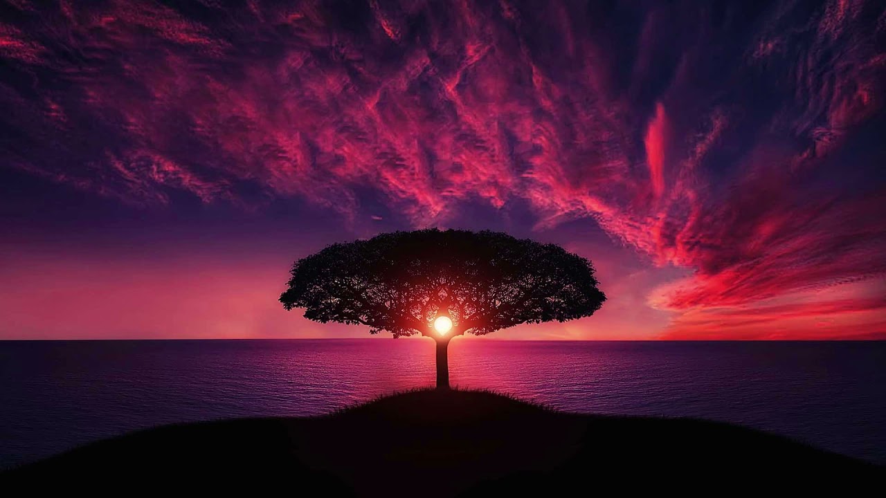 Beautiful Mesmerizing music for relaxation | Relaxing Music for Yoga Minds Refresh #MindRefresh