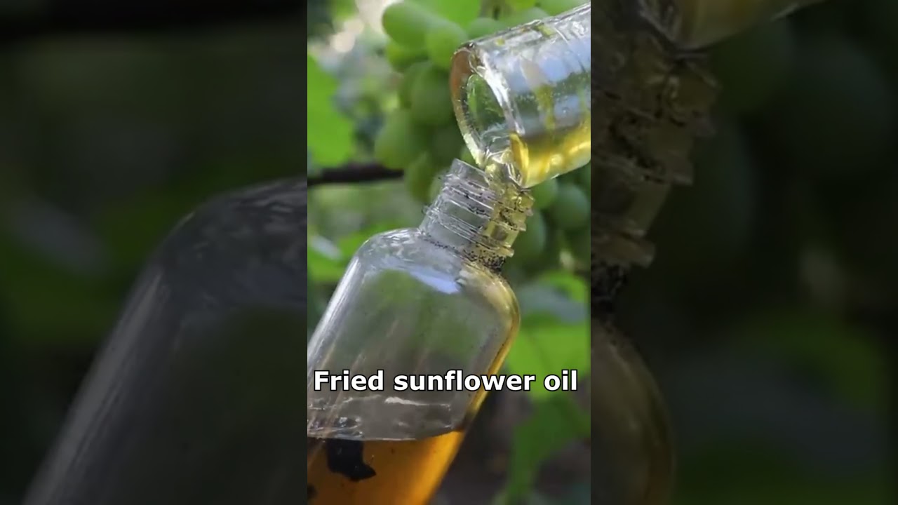 🇺🇦Lost Catfish Aroma Recipe 🔥