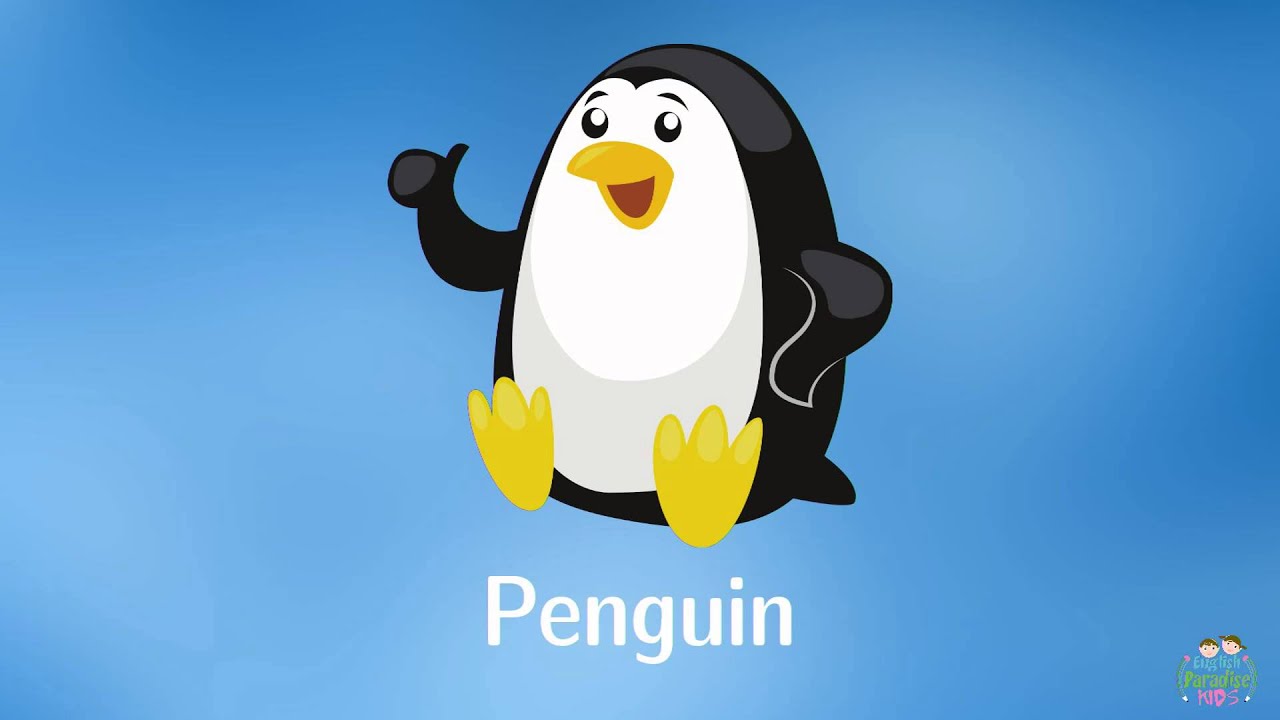 Animales del mar en inglés (preescolar)