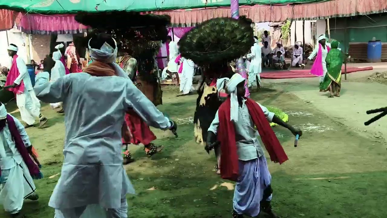 Jangu baina guttathene gummela gondi song@ Allikori//2025//