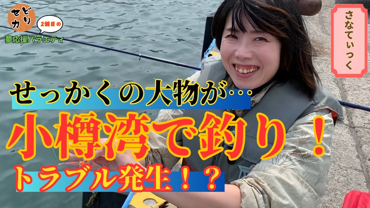 【北海道】【釣り】小樽港北浜岸壁でカレイ、ホッケ狙い！竿を引きずり込む大物が…！？②【セカンドどりーむ さなてぃっく編 シーズン1】#22