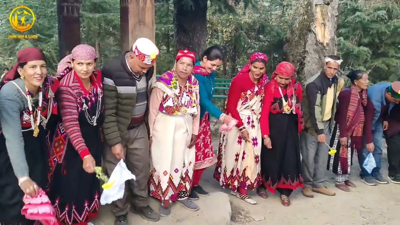 Jibhi Valley festival // Jibhi ka local // Himachali festival // #jibhi #jibhifestival #fastival