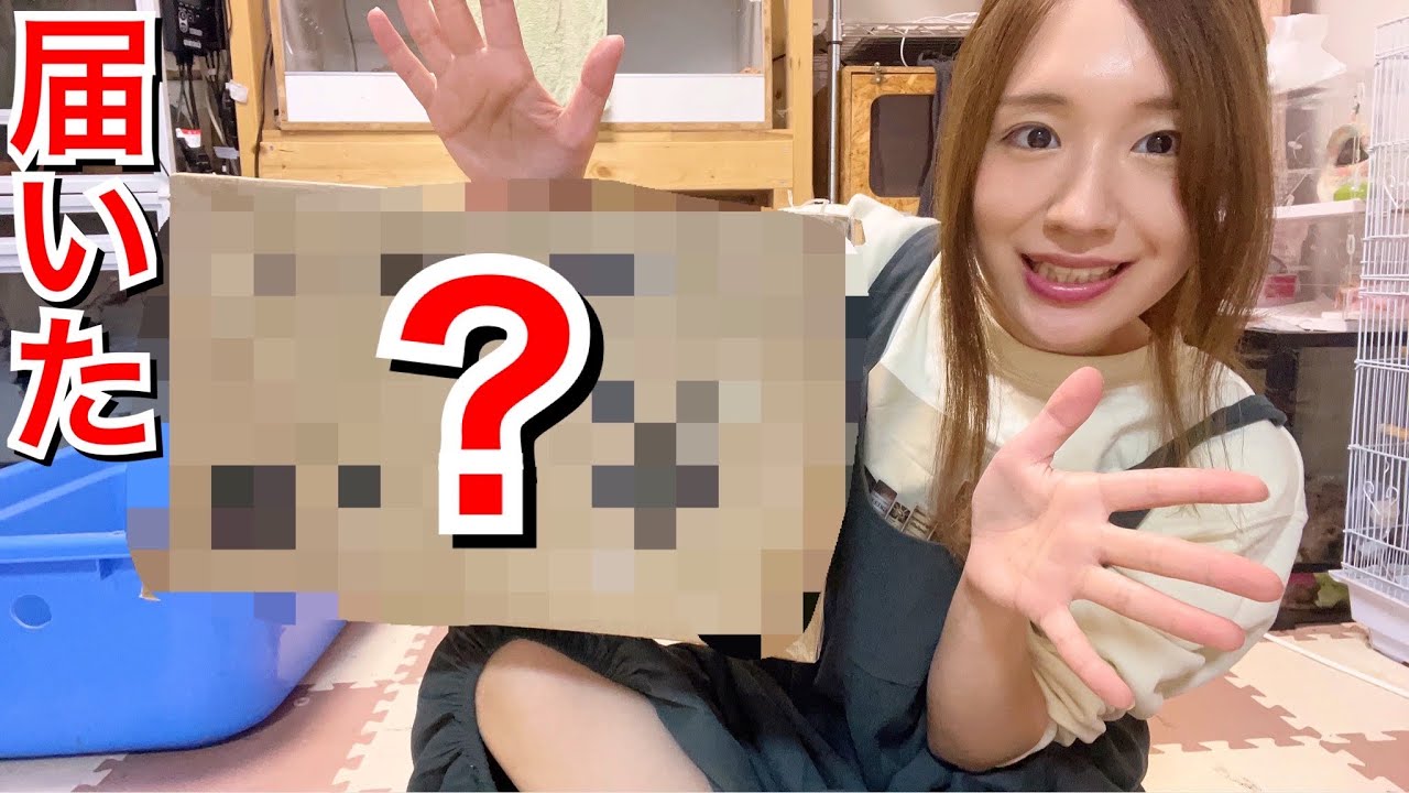 【念願】生き物達の為の〇〇〇がついに届いたけどスゴすぎる……！