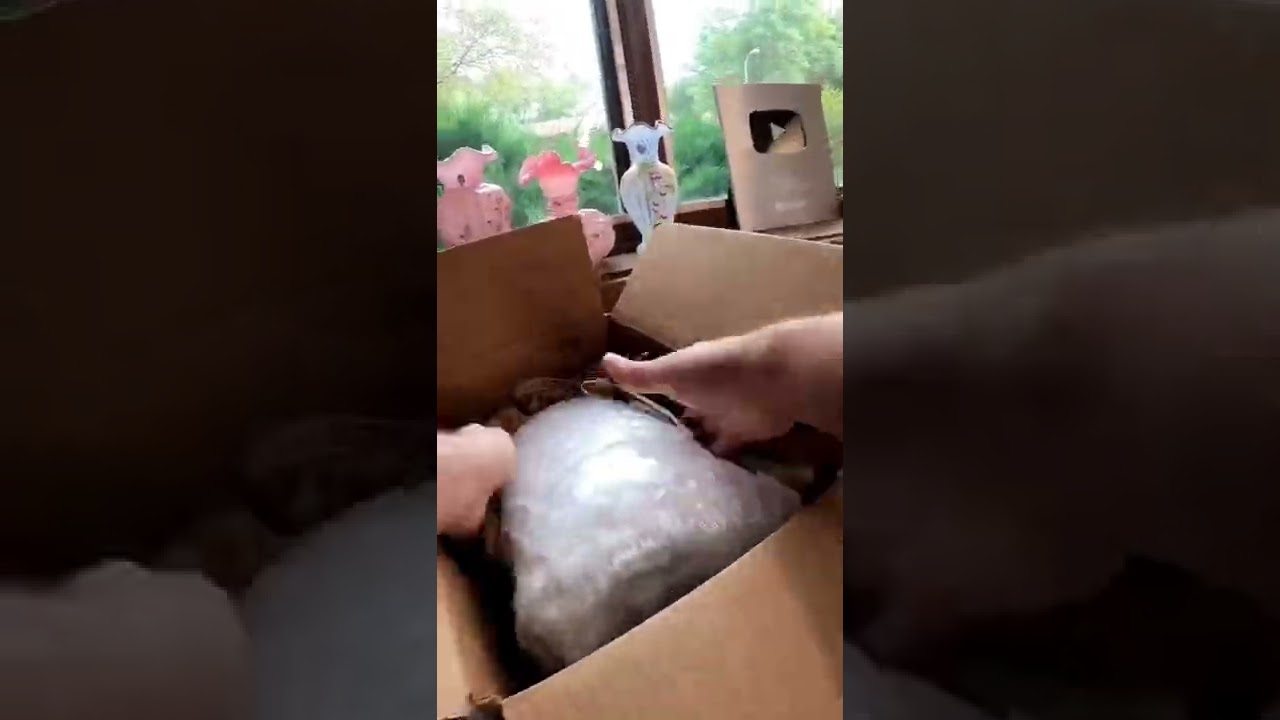 Best Way To Ship Expensive Glassware!!