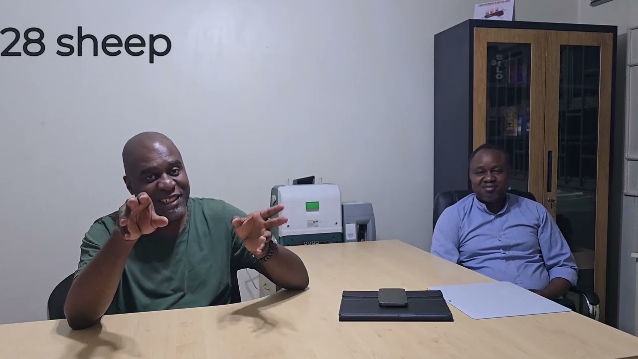 Starting an AI Company in Africa (Zambia) Part 2: Talking to AI Enthusiast-Project & Company Update
