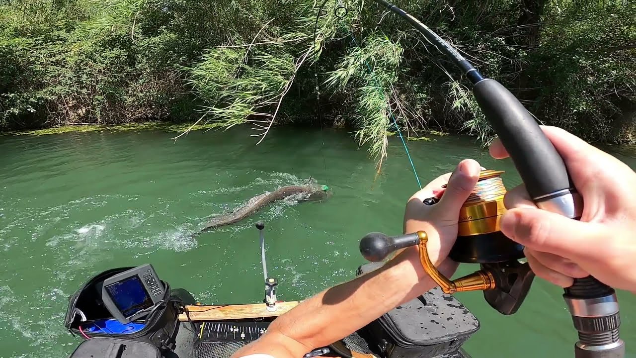 Dwa szybkie sumy na kwoka