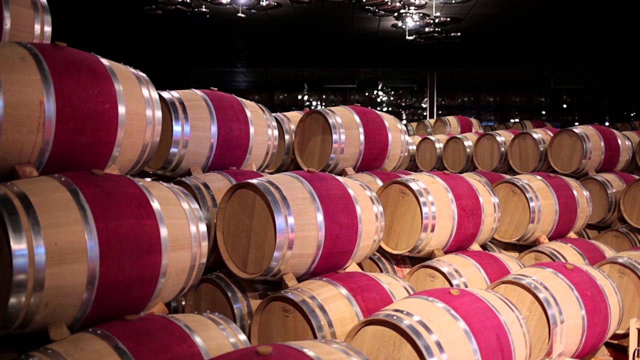 Video Marqués de Cáceres RIOJA y RUEDA
