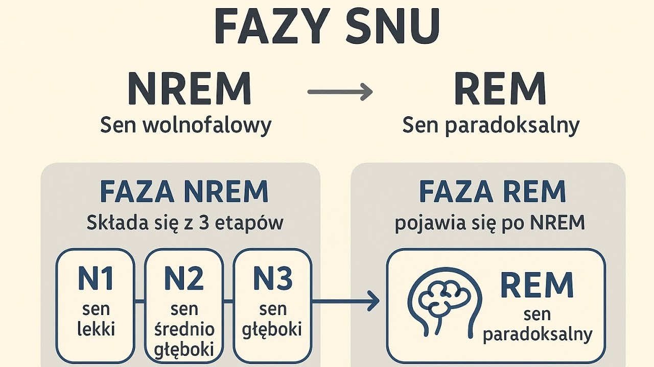 Fazy snu - co się dzieje kiedy śpimy?