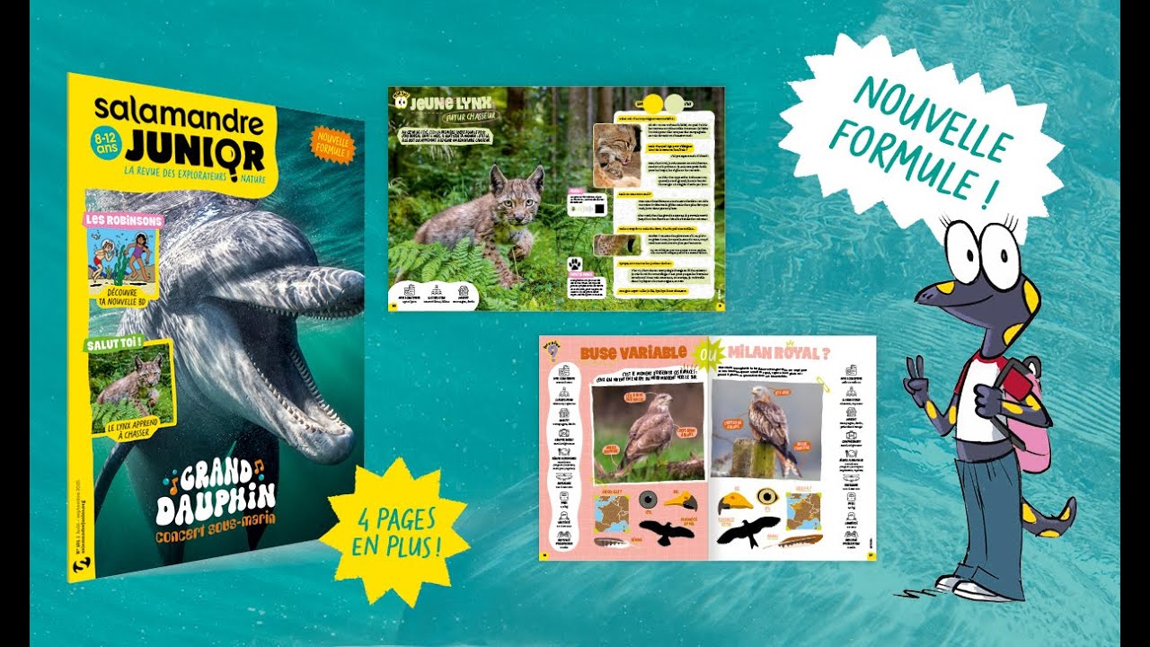 La Salamandre Junior fait peau neuve !