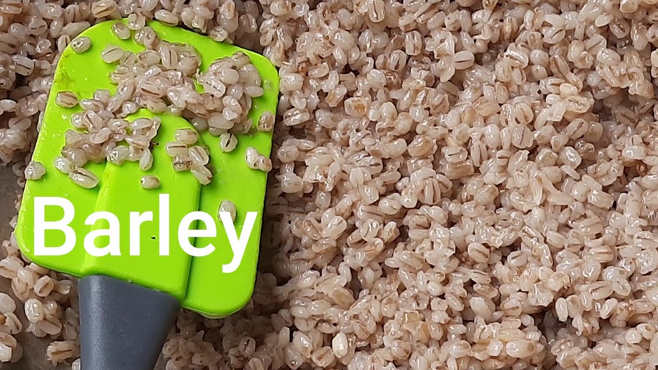 How to Cook Barley in 10 Minutes! (without Pressure Cooker)