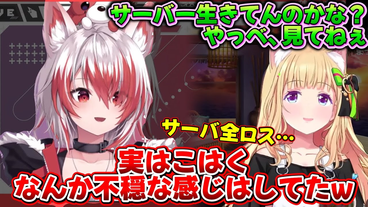 【虫の知らせ】実はアキロゼのARKサーバ全ロスを予感していたこはく【秋雪こはく/アキ・ローゼンタール/VEE切り抜き】
