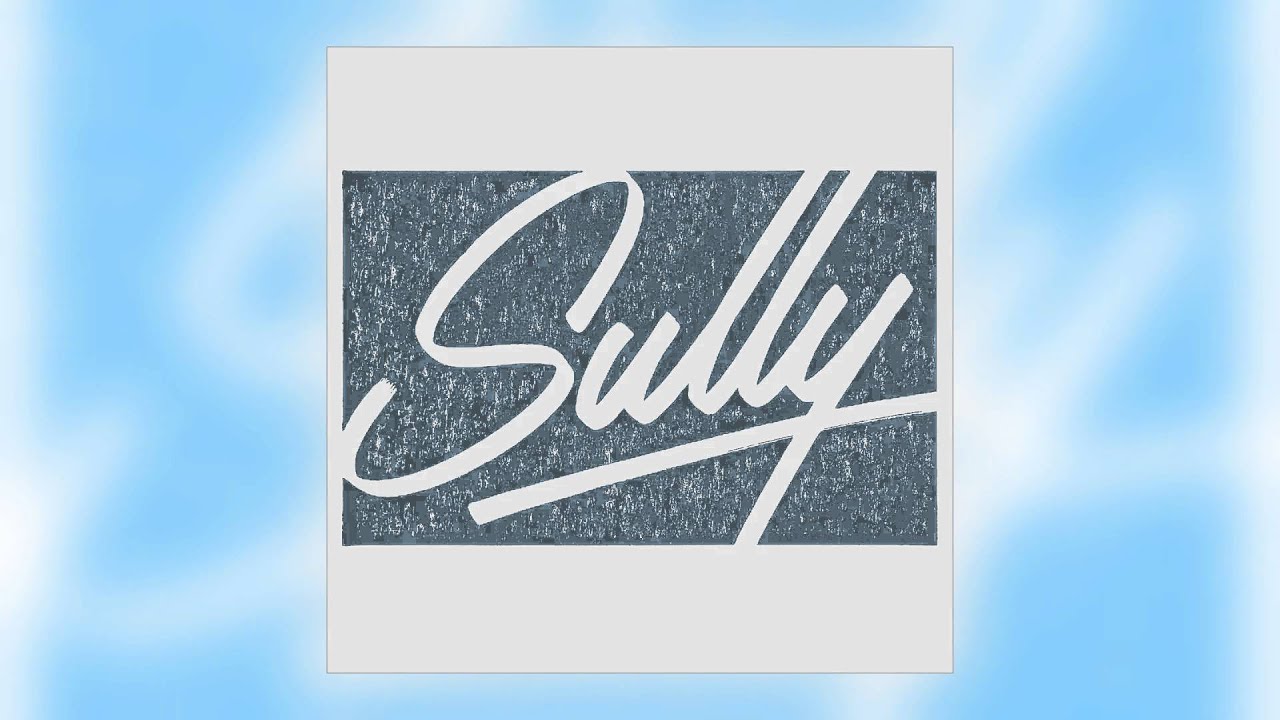 Sully - Flock [Astrophonica]