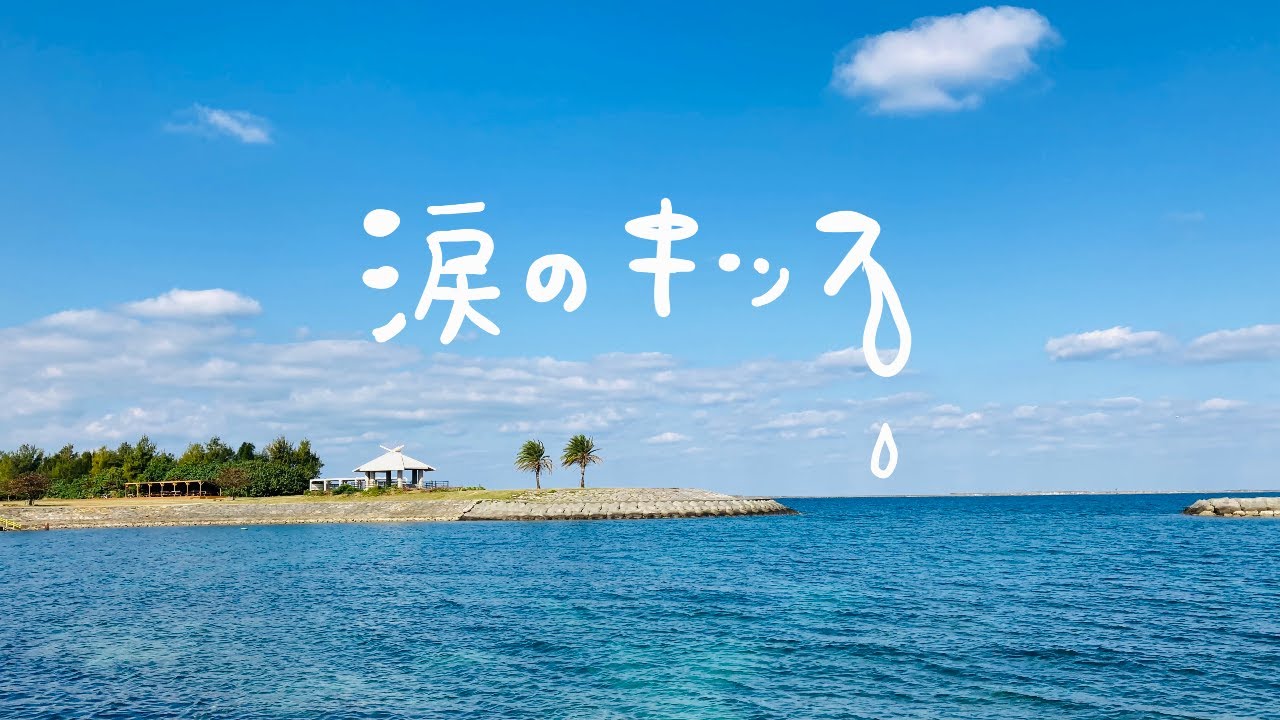 鎌田純子 / 涙のキッス [cover]