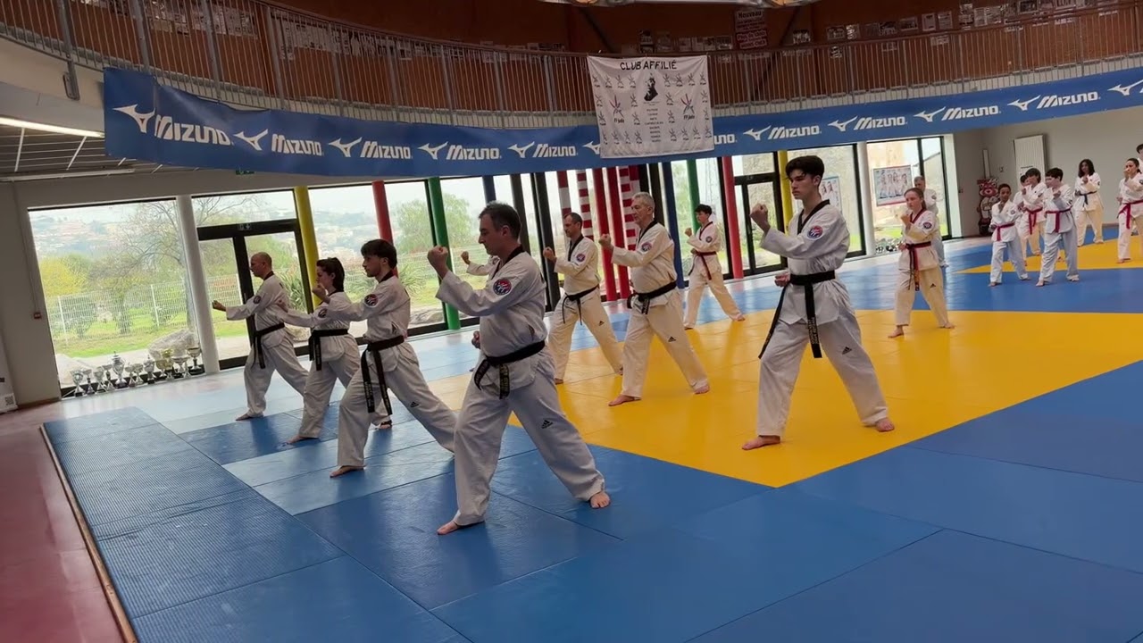 Stage de masse du stade laurentin Taekwondo Master Park 06