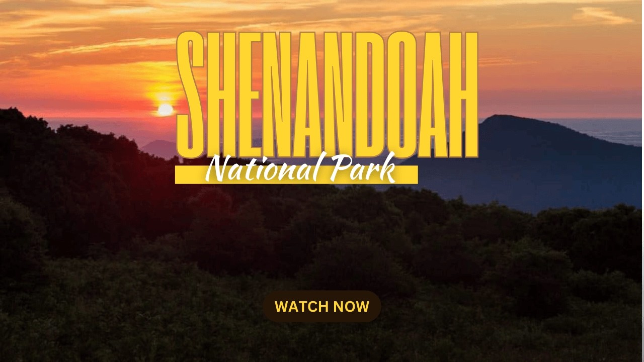 Shenandoah National Park Sunrise | VA