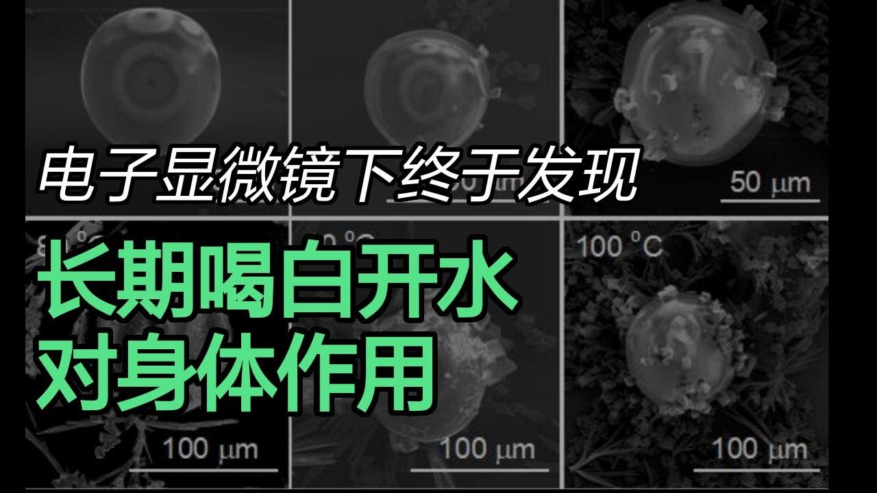 人类身体内脏已经满是微塑料和烧白开水喝的妙处