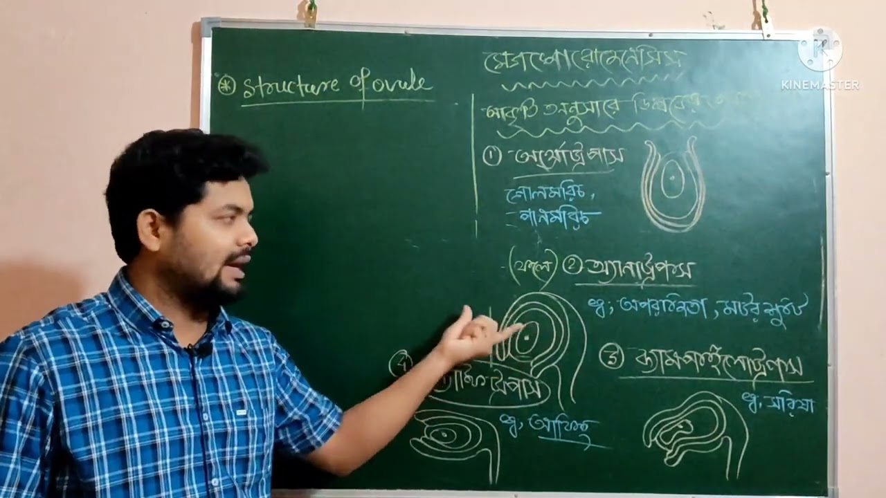 Megasporogenesis in bengali (মেগাস্পোরোজেনেসিস ) class12#wbchse2025 #slst#slst_preparation