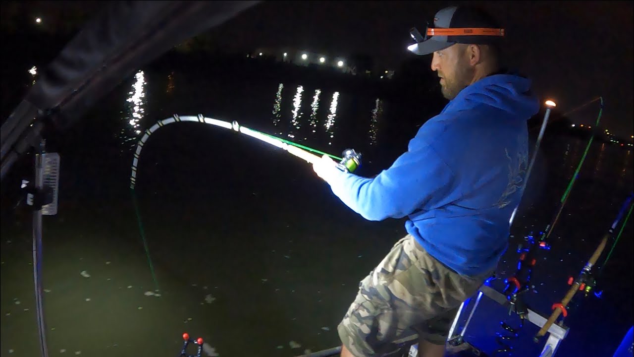 The Flathead Bite was on FIRE (FAST ACTION)