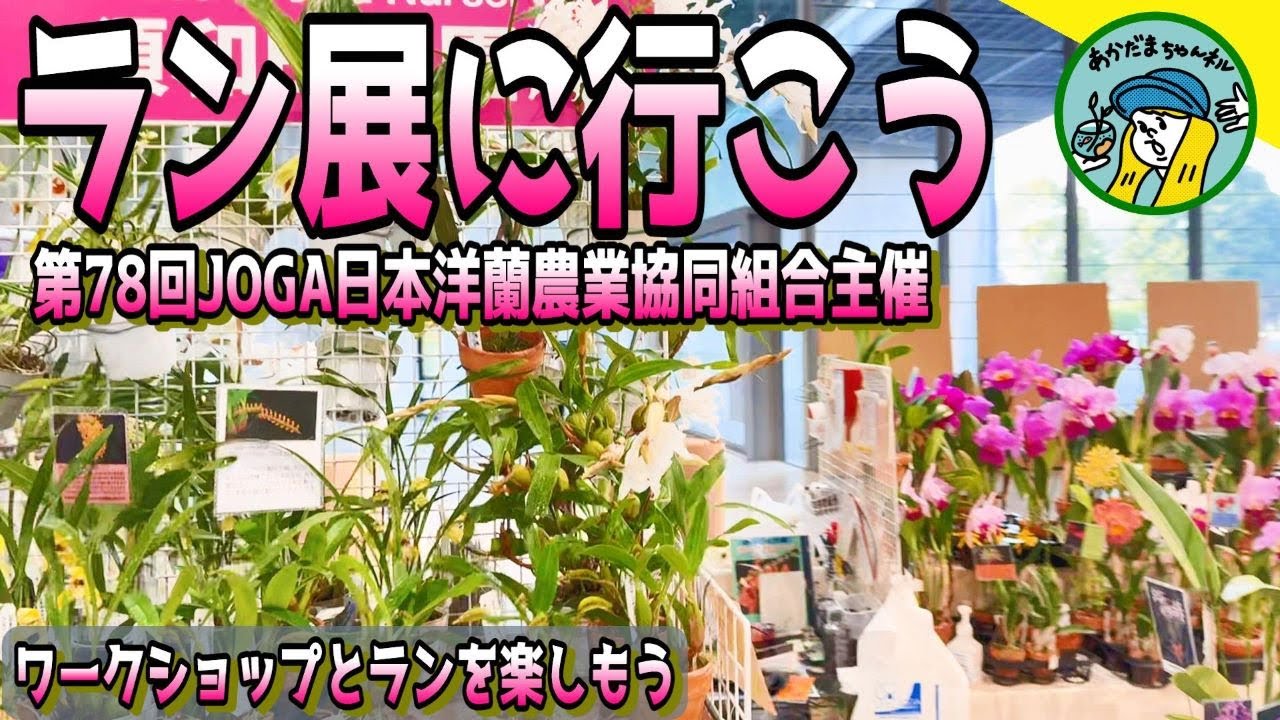 ランの世界は面白い！一緒にランを楽しもう（ラン展ってどんな感じ？78回もの歴史あるラン展でワークショップをやりました）