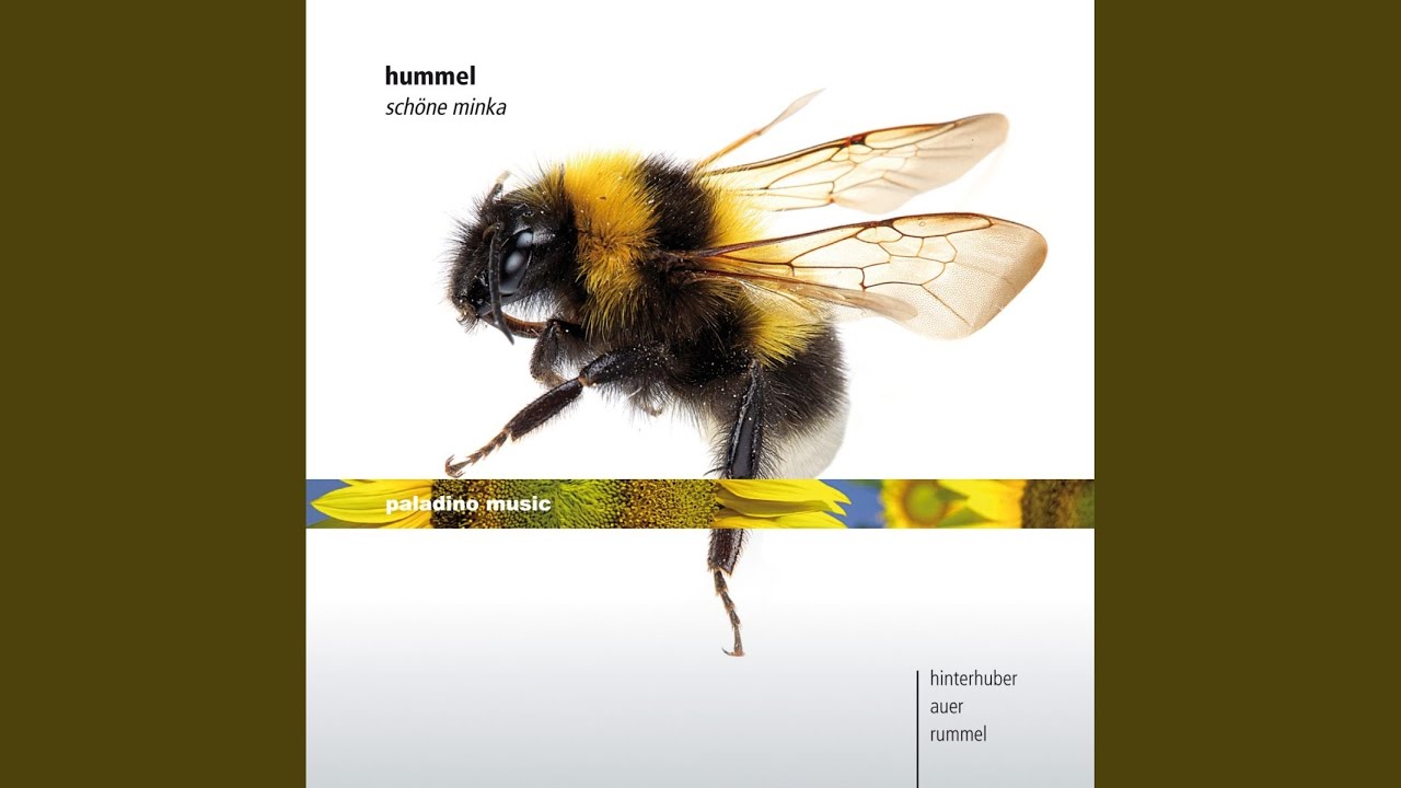 Sonata for Piano No. 5 in F-Sharp Minor, Op. 81: II. Largo Con Molto Espressione