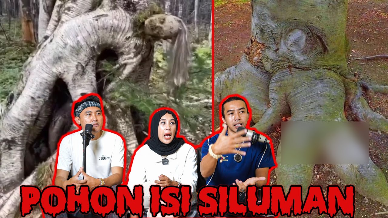 POHON ANEH YANG BERHASIL TEREKAM KAMERA