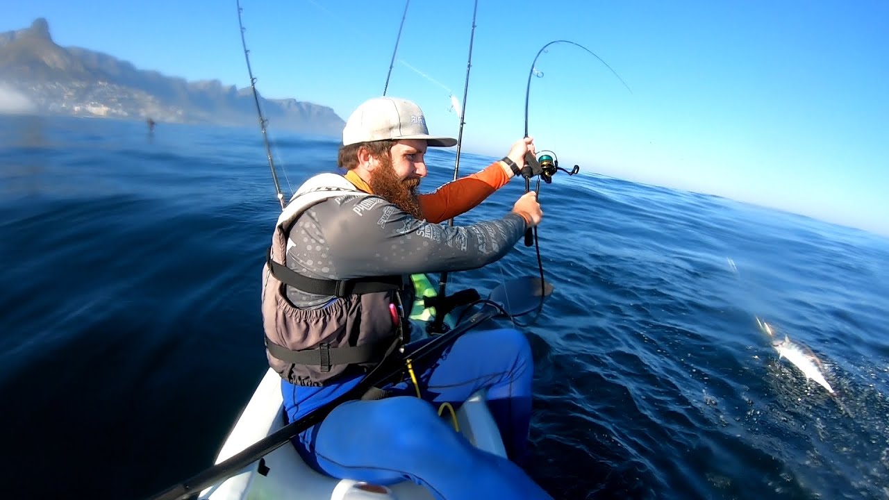 Atlantic Bonito kayak fishing | Cape Town