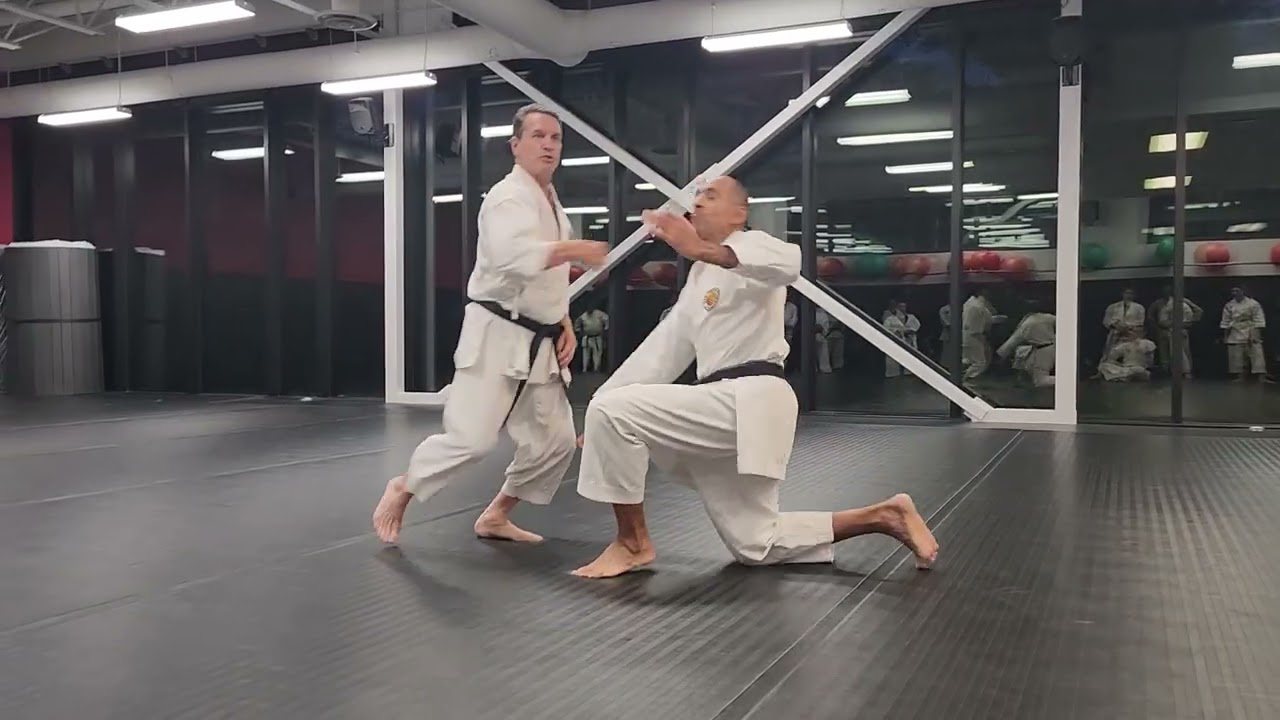 Shotokan Canada/HDKI Canada Summer Camp part 1