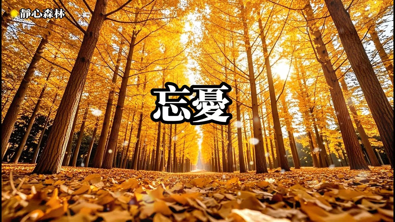 放鬆音樂 空靈，靜心冥想，聆聽自我，深度放鬆身心，忘  療癒音樂,放鬆音樂,輕音樂,冥想音樂,深度睡眠,舒壓按摩音樂, 睡眠音樂,鋼琴音樂,鋼琴曲,輕音樂,BGM,純音樂,轻音乐