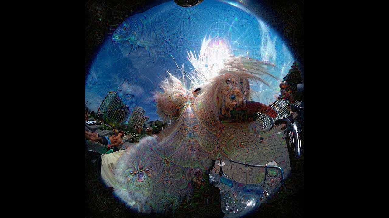 360&deg; Deep Dream Video | Dog on bike