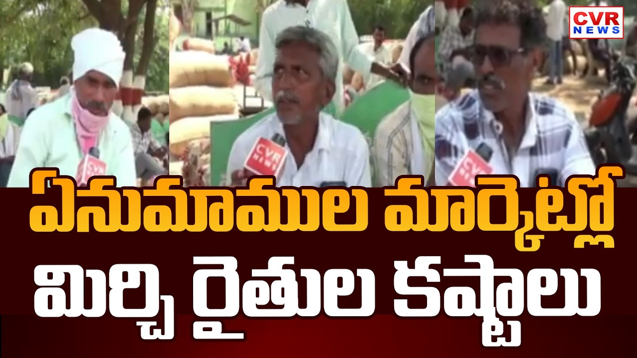 ఏనుమాముల మార్కెట్లో మిర్చి రైతుల కష్టాలు | Chilli Farmers At Enumamula Market | CVR News
