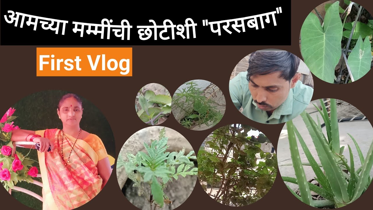 मम्मींची बाग 🏡My home garden Tour |Marathi vlog | my first vlog today