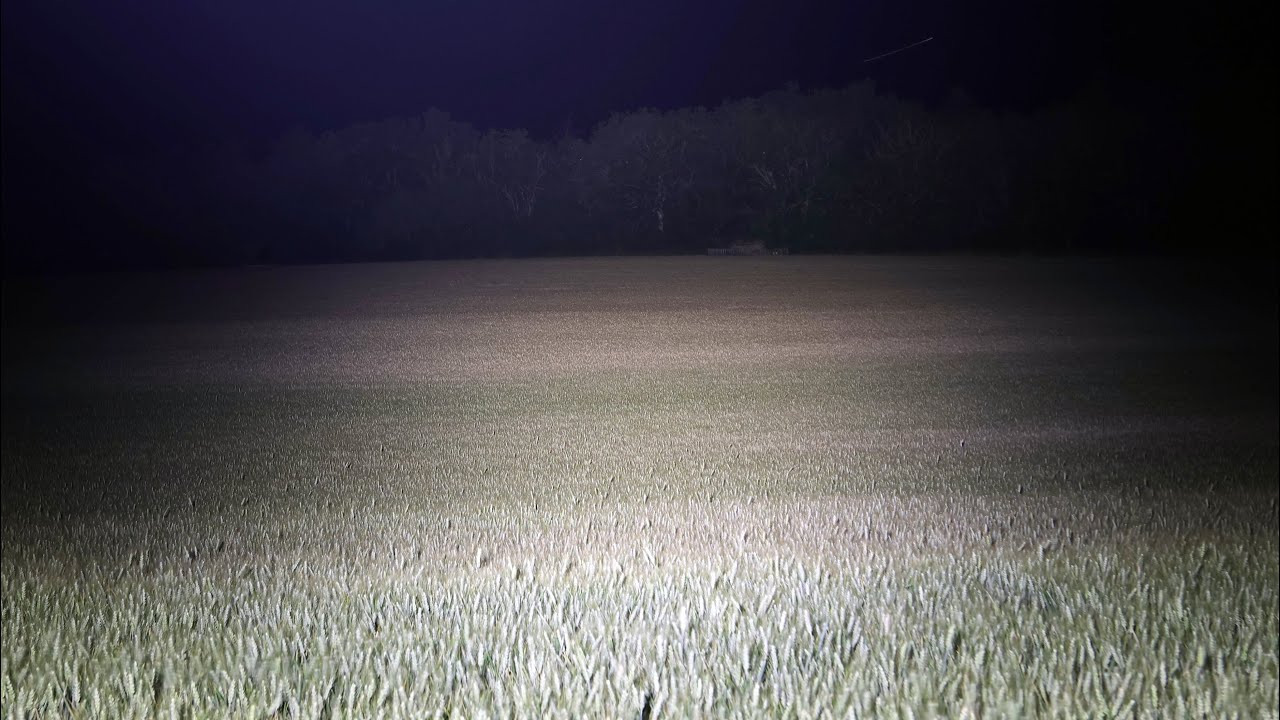 Acebeam X75 compare (with new material) with Acebeam X45, Astrolux EC06/MF01S and Nigthwatch NS59v1