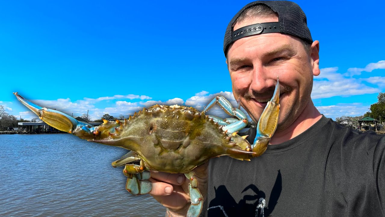 Searching the Bayou for Big Blue CRABS ( Catch and Cook )