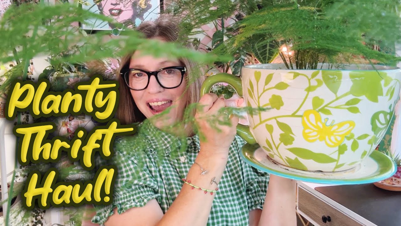 Thrift With Me For Planty Things | Lots of New Planters For My Houseplants plus Home Decor 